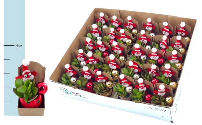 <h4>ARR KERST</h4>