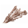 Ruscus Preserved Copper