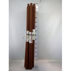 Decoratie ..Klimstok composteer H%