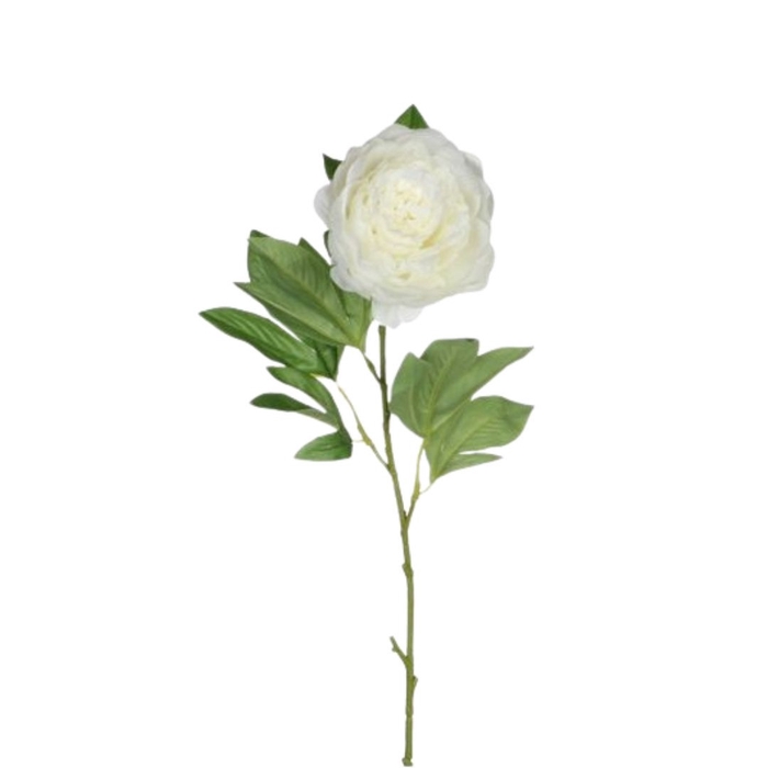 <h4>Paeonia 76cm</h4>