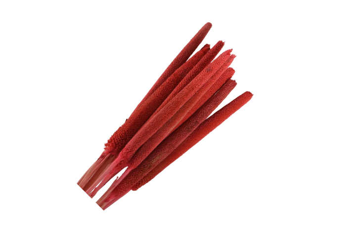 <h4>Babla Pink</h4>