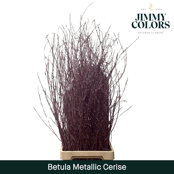 <h4>Betula L120 Mtlc. Cerise</h4>