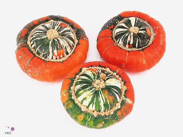 Cucurbita max. 'Turks Turban' mix