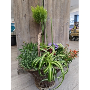 Panier extérieur 11