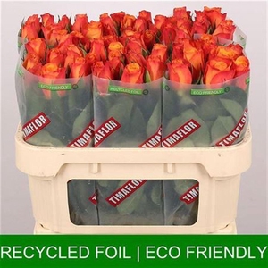 R Gr Confidential Ex