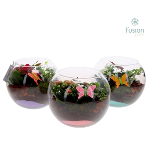 Glazen vissenkom met Arrangement