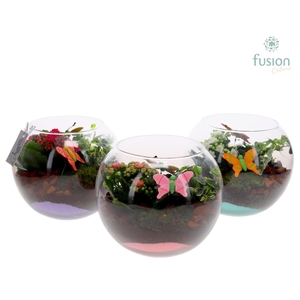 Glazen vissenkom met Arrangement