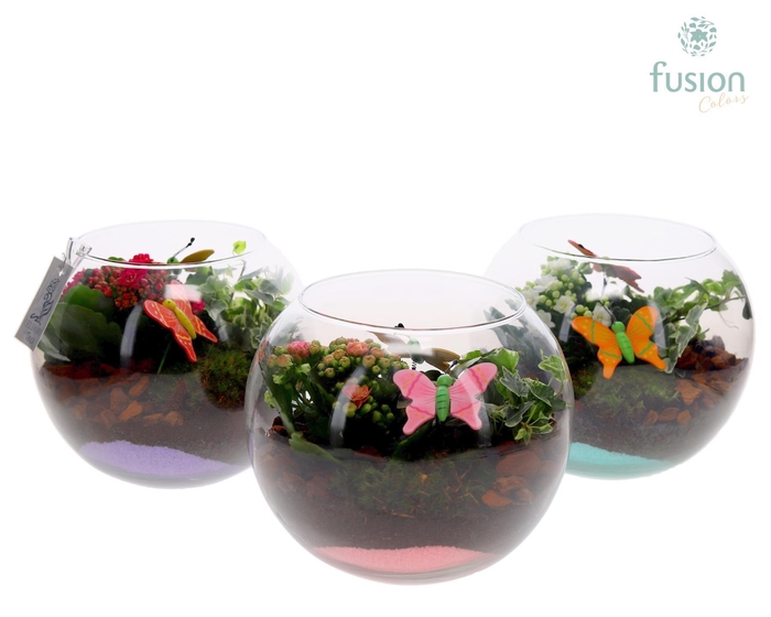 <h4>Glazen vissenkom met Arrangement</h4>