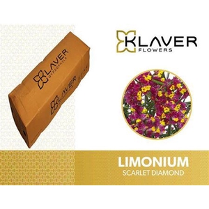 Lim Sin Scar Diamond