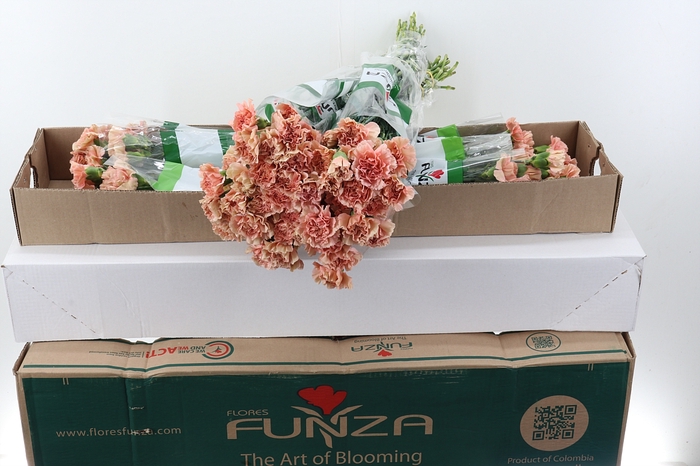 <h4>Di St Honey Box</h4>