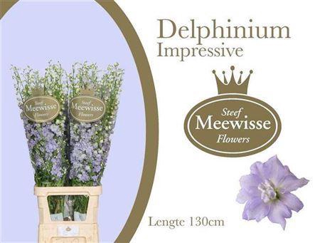<h4>DELPH DU DEW IMPRESS</h4>