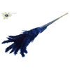 Fluffy Pampas L80 10 st/bunch Blue