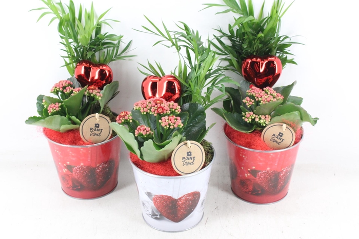 <h4>arr2 PL - Zink pot white/red met hart</h4>