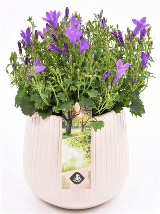 <h4>Keramiek vert.lines creme mat 12cm</h4>