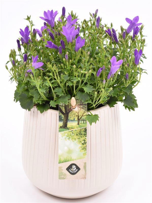 <h4>Keramiek vert.lines creme mat 12cm</h4>