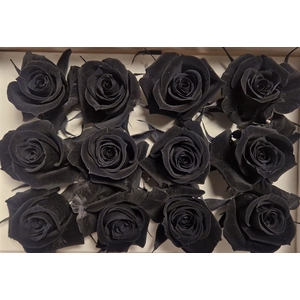 Ro Pres Mini Black
