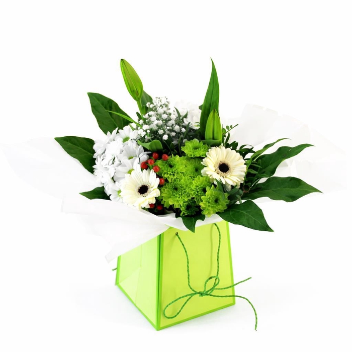 <h4>Aqua-Bulle Bieder in tas wit</h4>