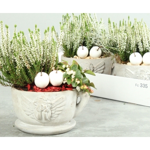 ARR TUINPLANTEN