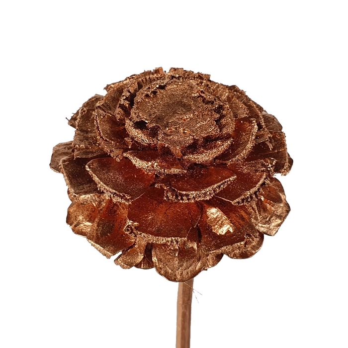 Pine cone cut 5-7cm on stem Copper