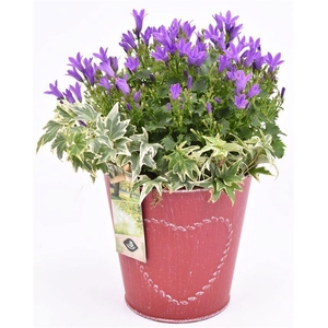 Zink pot rood met hart 18cm