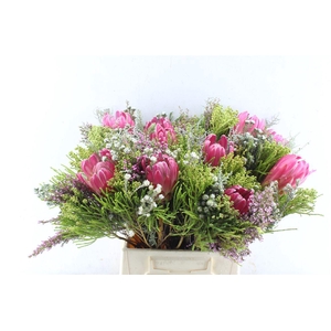 Protea Boeket