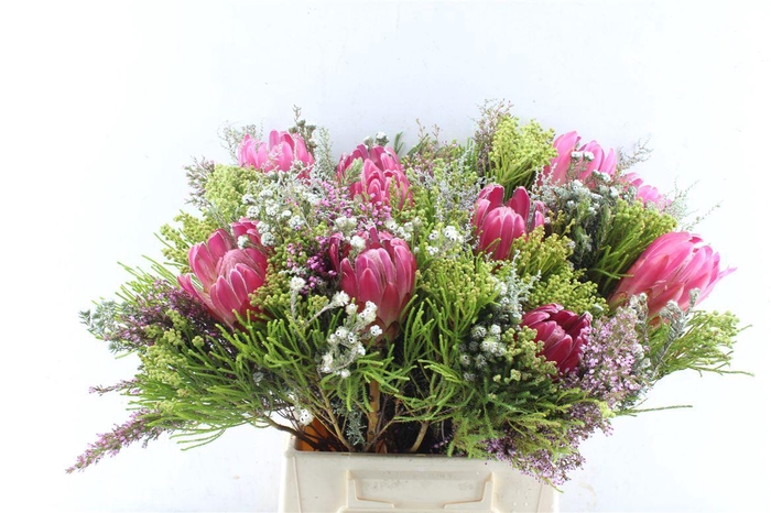 <h4>Protea Boeket</h4>