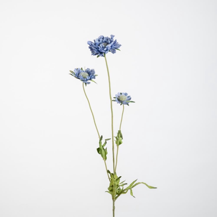 <h4>AF Scabiosa x3 L63cm Blue</h4>