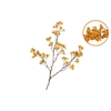 Silk Berry Spice Yellow 108cm Nm