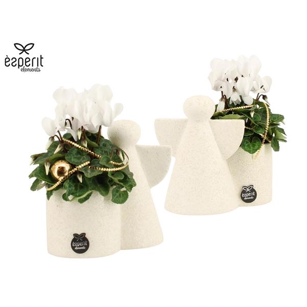 <h4>Arrangementen Kerst 6%</h4>