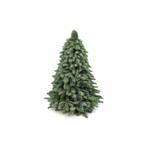 Kerstboom Nobilis 80