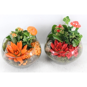 arr2 MB - Glas halve maan - rood/oranje