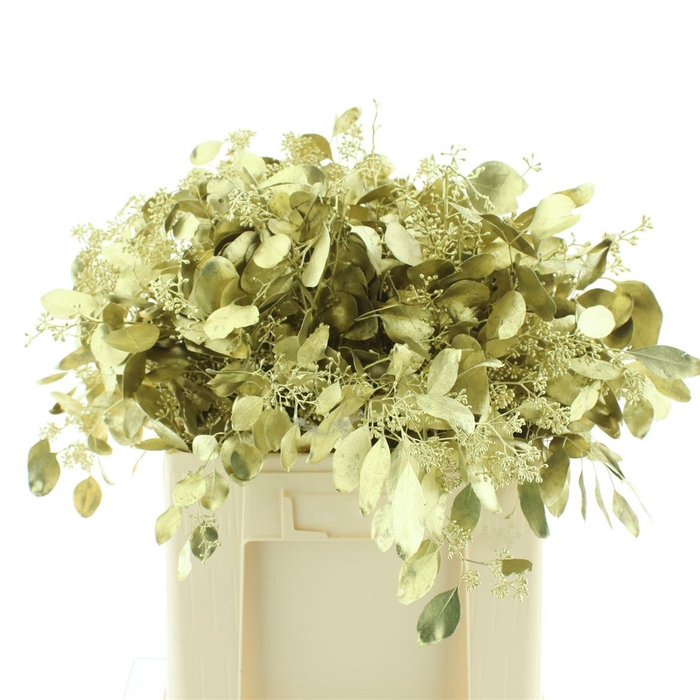 <h4>Euca Klb Populus Bes Goud 300gr</h4>