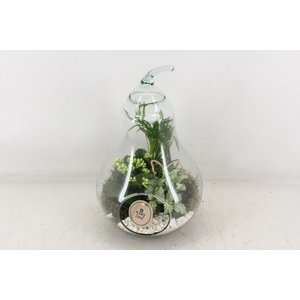 arr2 PL - Glazen peer XL - wit