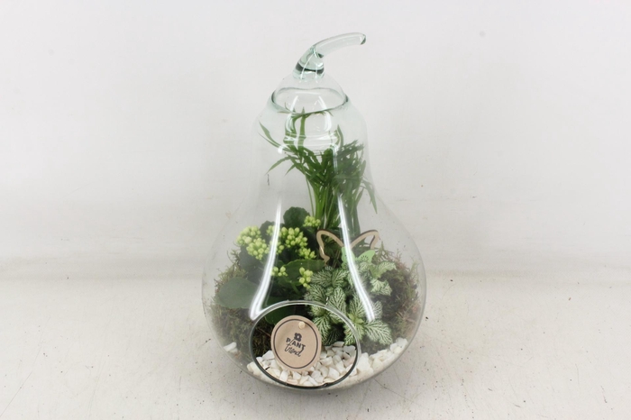 <h4>arr2 PL - Glazen peer XL - wit</h4>