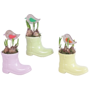 Early Spring Arr. Narcis Ceramic Boot Gr/Pi/Ye Ø20cm 1PP