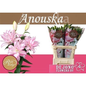 Li Or Du Anouska