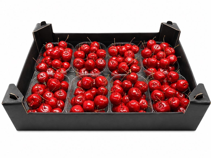 <h4>Waxmalus Rood Kerst</h4>