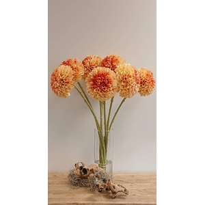 DAHLIA PEACH PINK FL440337PPK L65