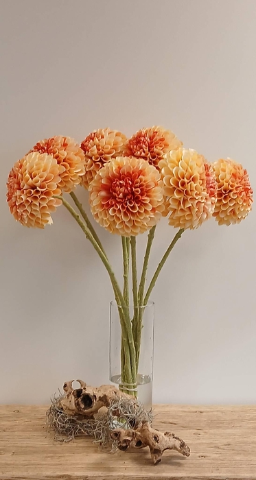 <h4>DAHLIA PEACH PINK FL440337PPK L65</h4>
