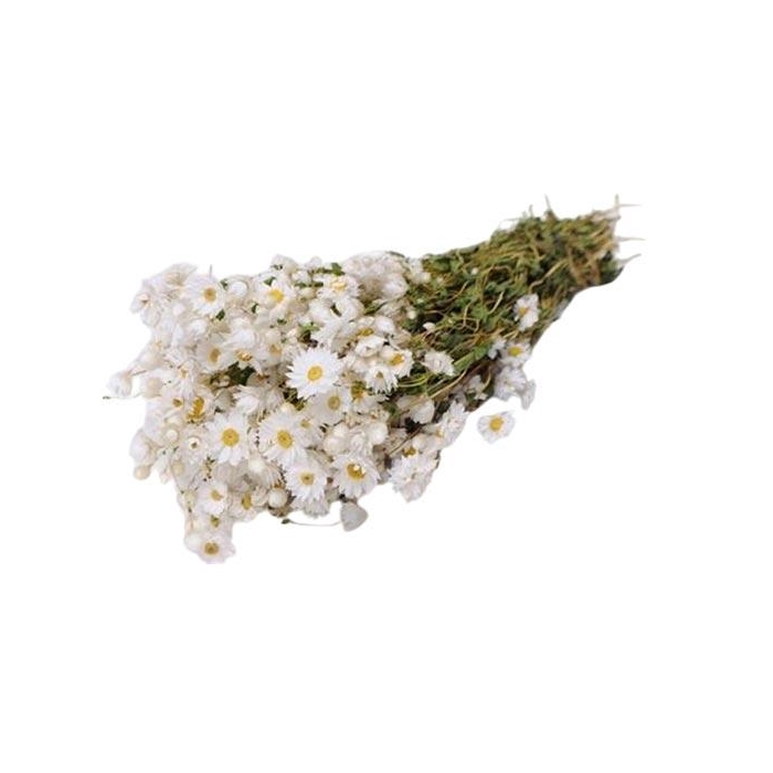 <h4>Bunch Rhodante Slv 100g</h4>