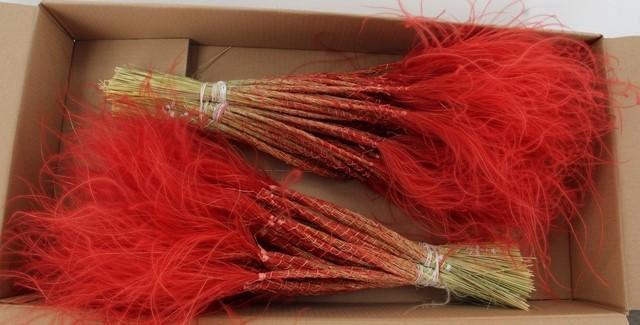 <h4>DF Stypha 60cm Bs Red</h4>