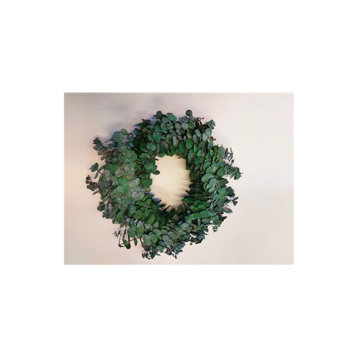 <h4>Wreath Eucalyptus Baby  D45</h4>