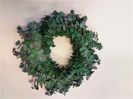 <h4>Wreath Eucalyptus Baby  D45</h4>