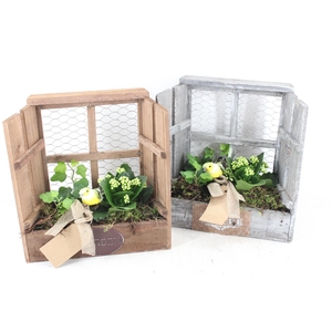 arr2 TD - Houten raam wit