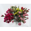 Bouquet Mono Tros Anjer x10 mix 50cm