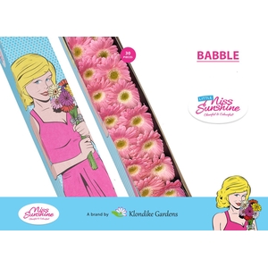 GE MI BABBLE Doos Klein