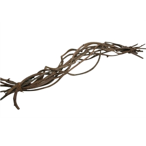 Dried articles Crazyvine 60cm x10