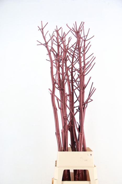 DF Ferule Kapstok Metallic Brown