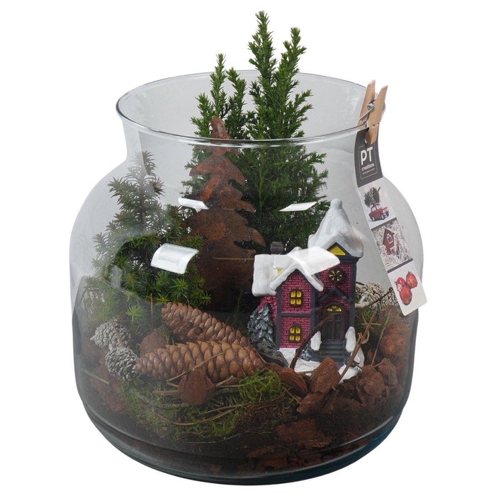 <h4>Arr. Kerst H%</h4>