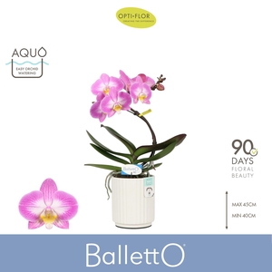 Balletto Spinturn 1 spike in Molise White Aquo
